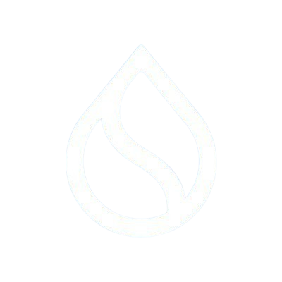 Sui Foundation